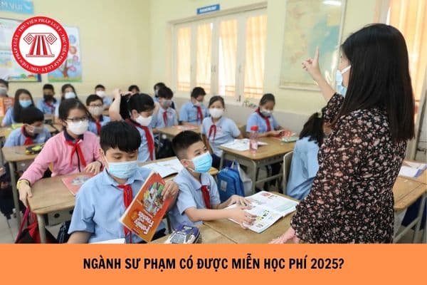 Ngành sư phạm có được miễn học phí không 2025?