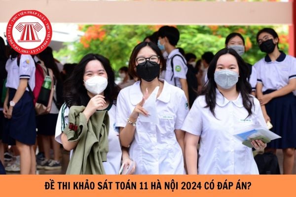 Đề thi khảo sát Toán 11 Hà Nội 2024 có đáp án?