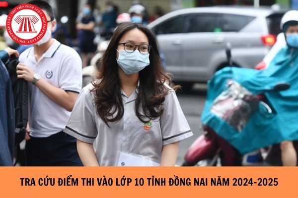 Tra cứu điểm thi vào lớp 10 tỉnh Đồng Nai năm học 2024-2025 chi tiết, đầy đủ, chính xác nhất?