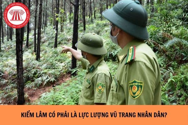 Kiểm lâm là gì? Kiểm lâm có phải là lực lượng vũ trang nhân dân hay không?