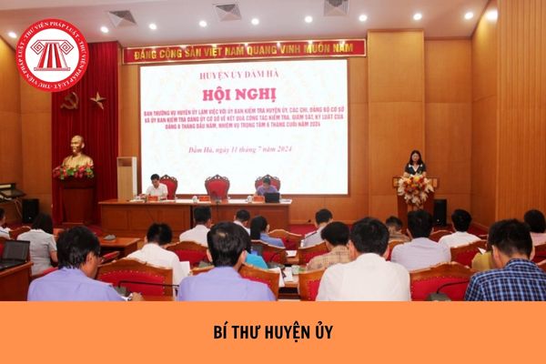 Bí thư huyện ủy là ai? Bí thư huyện ủy có nhiệm vụ và quyền hạn gì?