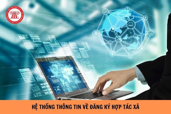 Hệ thống thông tin về đăng ký hợp tác xã là gì? Điều kiện tiếp nhận hồ sơ đăng ký hợp tác xã vào Hệ thống thông tin về đăng ký hợp tác xã?