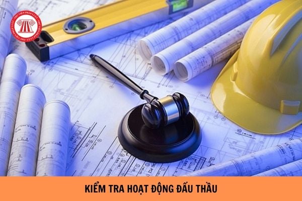 Ai có thẩm quyền quyết định kiểm tra đột xuất hoạt động đấu thầu?