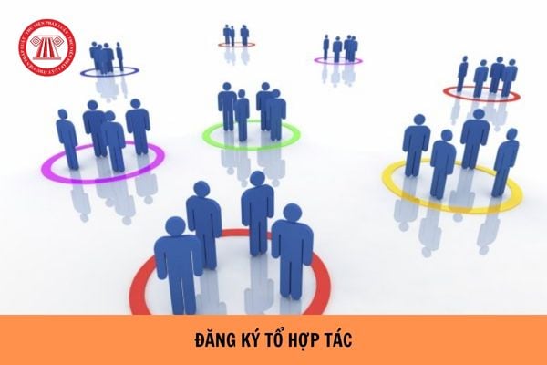 Đăng ký tổ hợp tác là gì? Việc cấp đăng ký tổ hợp tác theo quy trình dự phòng được áp dụng trong các trường hợp nào?