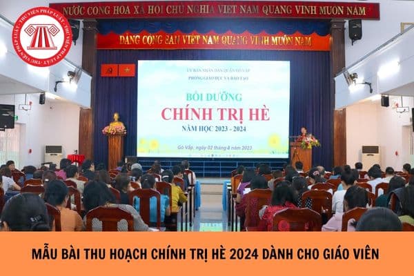 Mẫu bài thu hoạch chính trị hè 2024 giáo viên chi tiết, đầy đủ?