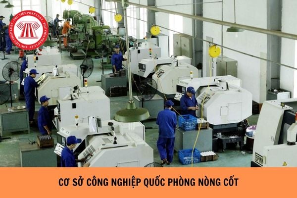 Công ty trách nhiệm hữu hạn một thành viên có phải là một trong các loại hình của cơ sở công nghiệp quốc phòng nòng cốt không?