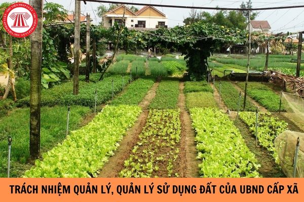 Trách nhiệm về quản lý, quy hoạch sử dụng đất của Ủy ban nhân dân cấp xã được quy định ra sao?