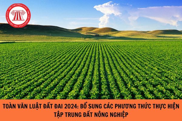 Toàn văn Luật Đất đai 2024: Bổ sung các phương thức thực hiện tập trung đất nông nghiệp?