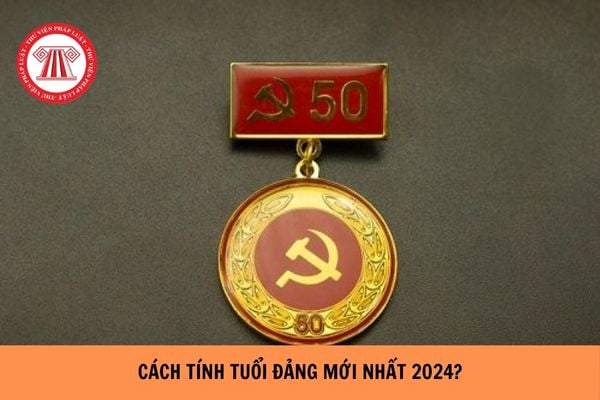 Cách tính tuổi đảng mới nhất năm 2024? Tuổi đảng có tính năm dự bị không?