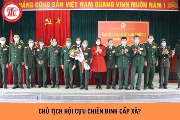 Hỏi đáp Pháp luật