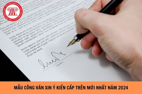 Mẫu công văn xin ý kiến cấp trên mới nhất năm 2024?