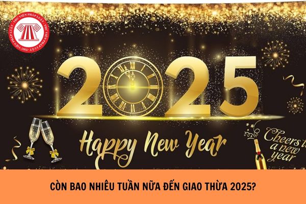 Còn bao nhiêu tuần nữa đến Giao thừa 2025?