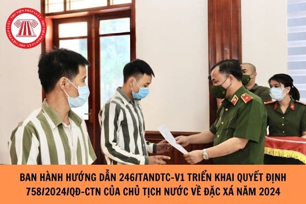 Ban hành Hướng dẫn 246/TANDTC-V1 triển khai thực hiện Quyết định 758/2024/QĐ-CTN của Chủ tịch nước về đặc xá năm 2024?