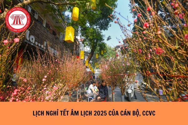 Lịch nghỉ Tết Âm lịch 2025 của cán bộ, CCVC: Dự kiến nghỉ liên tiếp 9 ngày? 