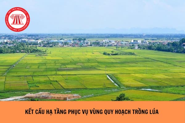 Kết cấu hạ tầng phục vụ vùng quy hoạch trồng lúa có năng suất, chất lượng cao bao gồm những gì?