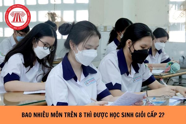 Bao nhiêu môn trên 8 thì được học sinh giỏi cấp 2? Tiêu chuẩn học sinh giỏi cấp 2 như thế nào?