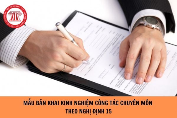 Mẫu Bản khai kinh nghiệm công tác chuyên môn theo Nghị định 15?