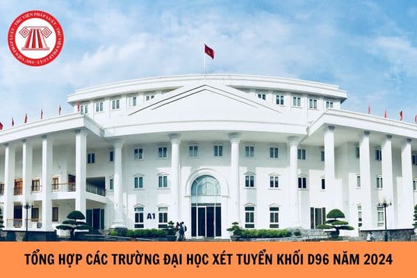 Tổng hợp trường đại học xét tuyển khối D96 năm 2024?