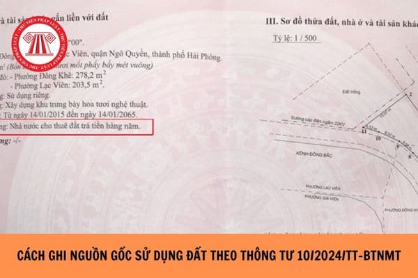 Cách ghi nguồn gốc sử dụng đất theo Thông tư 10/2024/TT-BTNMT?