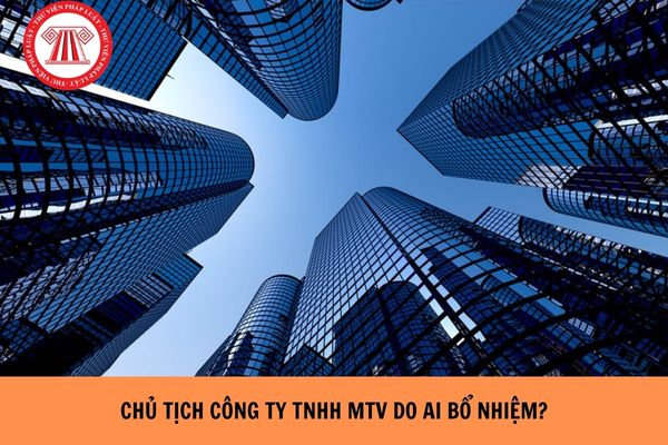 Chủ tịch công ty TNHH MTV do ai bổ nhiệm?