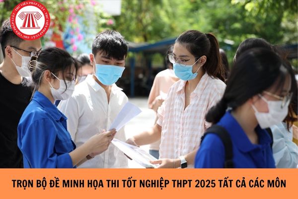 Trọn bộ Đề minh họa thi tốt nghiệp THPT 2025 tất cả các môn?