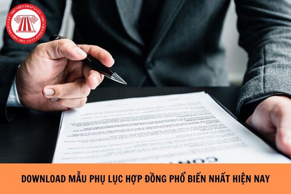 Download mẫu phụ lục hợp đồng phổ biến nhất năm 2024?