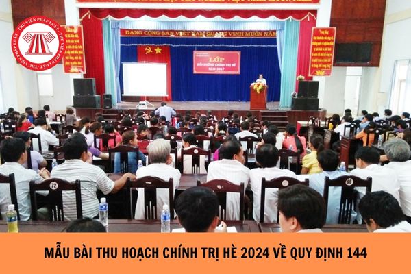 Mẫu Bài thu hoạch chính trị hè 2024 về Quy định 144 chi tiết nhất?