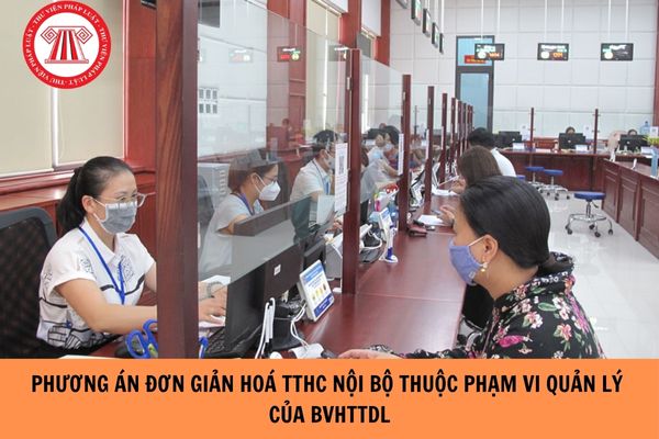 Phương án đơn giản hóa TTHC nội bộ thuộc phạm vi quản lý của Bộ Văn hóa, Thể thao và Du lịch năm 2024?