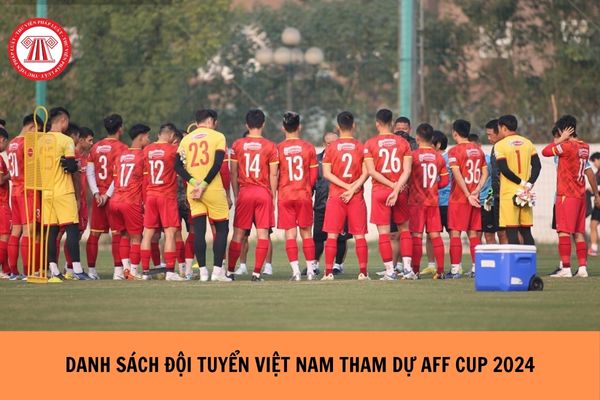 Danh sách đội tuyển Việt Nam tham dự AFF Cup 2024? Đội tuyển thể thao quốc gia gồm các đội tuyển nào?