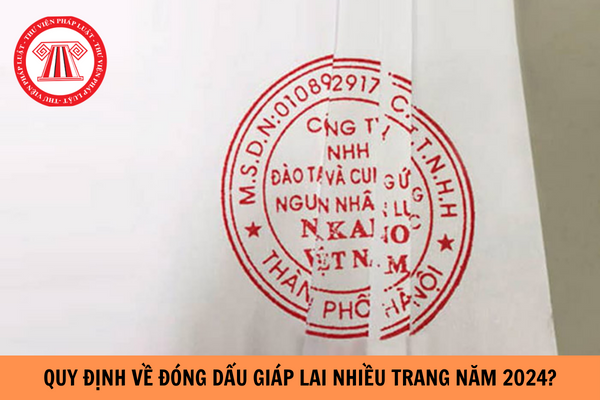 Hỏi đáp Pháp luật