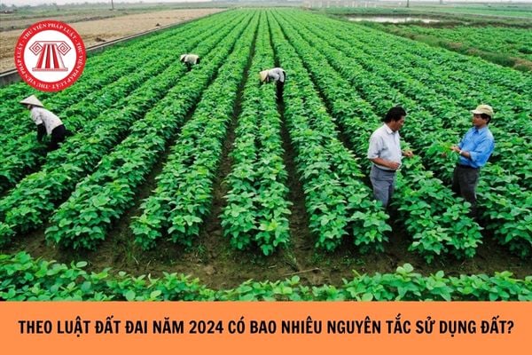 Theo Luật Đất đai năm 2024 có bao nhiêu nguyên tắc sử dụng đất?