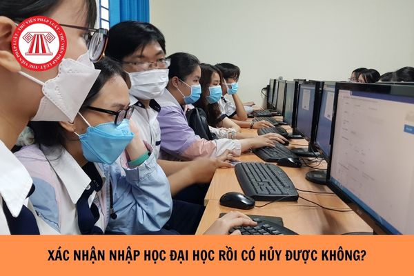 Xác nhận nhập học đại học rồi có hủy được không?