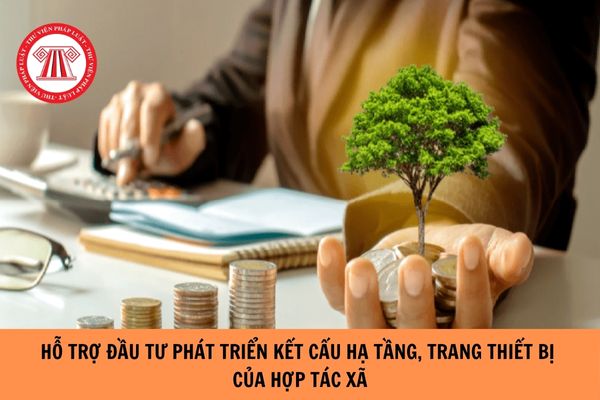 Nội dung hỗ trợ đầu tư phát triển kết cấu hạ tầng, trang thiết bị của hợp tác xã là gì? 