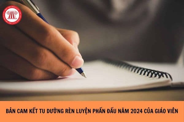 Bản cam kết tu dưỡng, rèn luyện, phấn đấu năm 2024 của giáo viên?