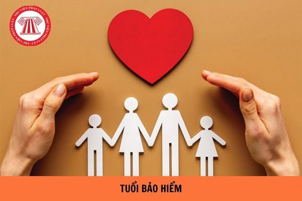 Tuổi bảo hiểm là gì? Được tính như thế nào?