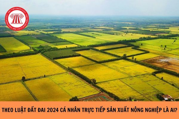 Theo Luật Đất đai năm 2024 thì cá nhân trực tiếp sản xuất nông nghiệp là ai?