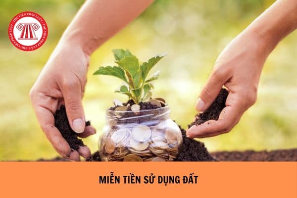 Thân nhân liệt sĩ có được hưởng chế độ miễn tiền sử dụng đất không? Giảm tiền sử dụng đất không?