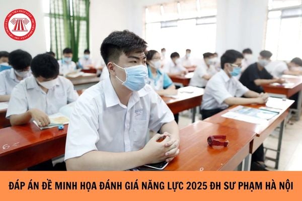 Đáp án Đề minh họa đánh giá năng lực 2025 Đại học Sư phạm Hà Nội chi tiết, đầy đủ?