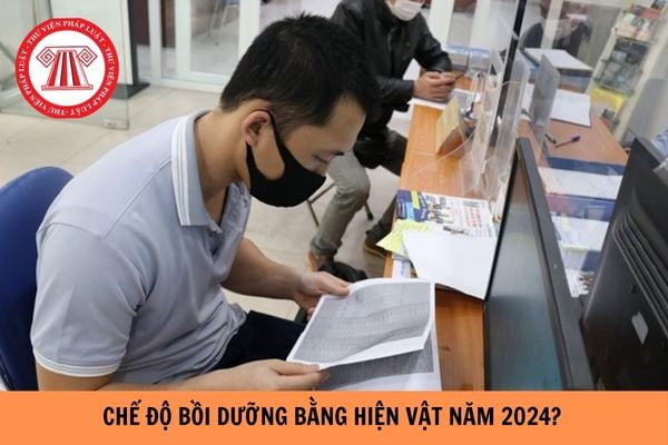 Hướng dẫn thực hiện chế độ bồi dưỡng bằng hiện vật mới nhất 2024?