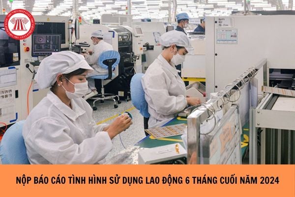 Hỏi đáp Pháp luật