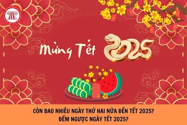 Còn bao nhiêu ngày thứ 2 nữa đến Tết 2025? Đếm ngược ngày Tết Âm lịch 2025?