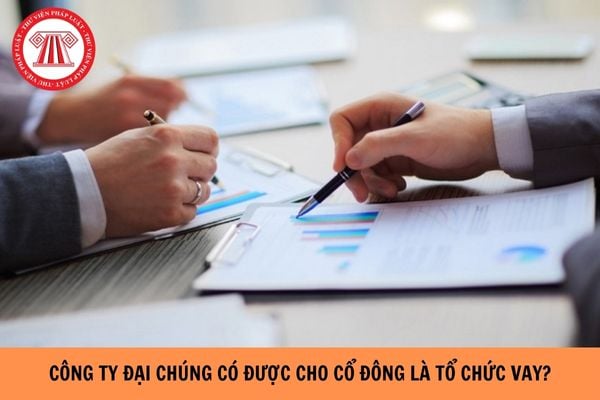 Trường hợp nào công ty đại chúng được cho cổ đông là tổ chức vay?