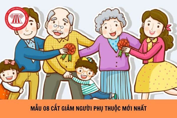 Mẫu 08 cắt giảm người phụ thuộc mới nhất hiện nay?