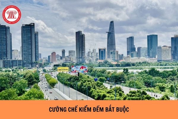 Kiểm đếm bắt buộc là gì? Nguyên tắc cưỡng chế thực hiện quyết định kiểm đếm bắt buộc là gì?