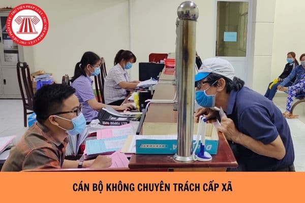 Cán bộ không chuyên trách cấp xã tốt nghiệp THPT nhưng chưa có trình độ chuyên môn thì có bị thôi việc không?