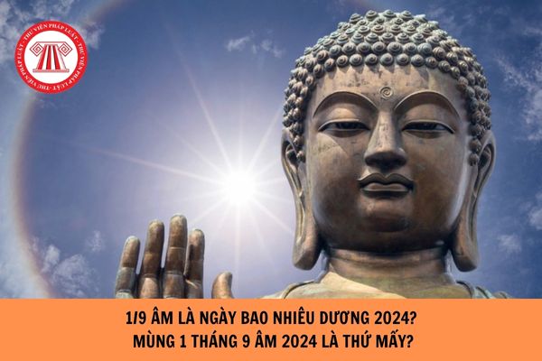 1/9 âm là ngày bao nhiêu dương 2024? Mùng 1 tháng 9 âm 2024 là thứ mấy?