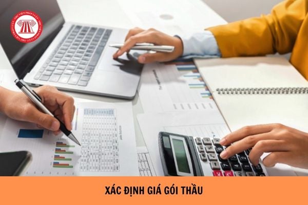 Căn cứ xác định giá gói thầu là gì? Giá gói thầu cập nhật trong thời gian nào? 