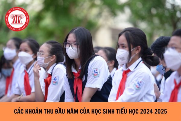 Các khoản thu đầu năm của học sinh tiểu học 2024 2025?