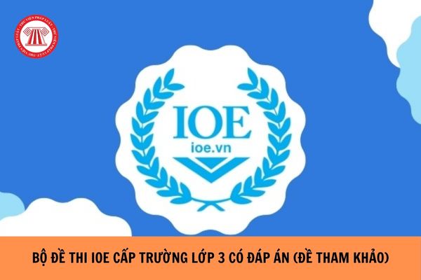 Bộ Đề thi IOE cấp trường lớp 3 có đáp án chi tiết, đầy đủ?