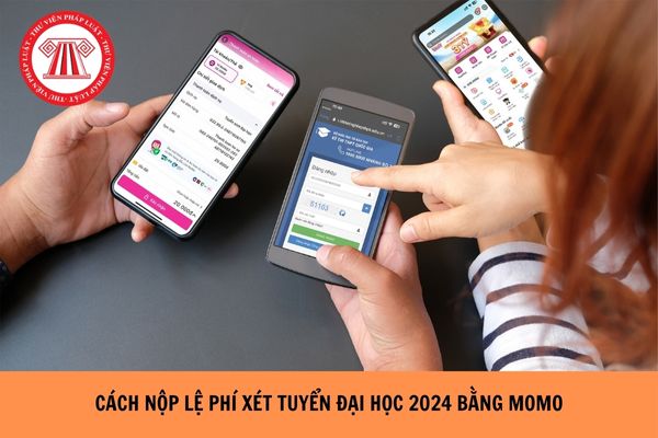 Cách nộp lệ phí xét tuyển đại học 2024 bằng MoMo chuẩn nhất, nhanh nhất?